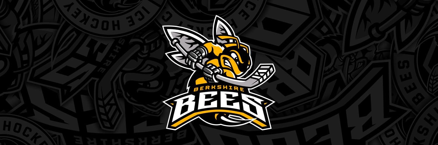 TSI World Berkshire Bees's banner