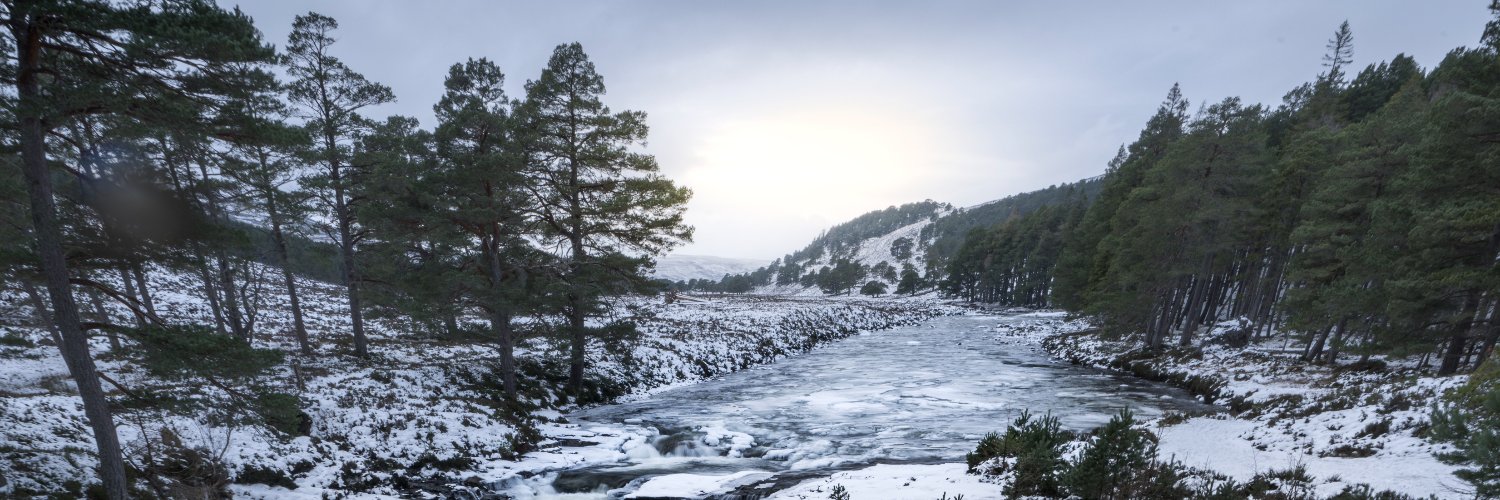 Cairngorms National Park's banner
