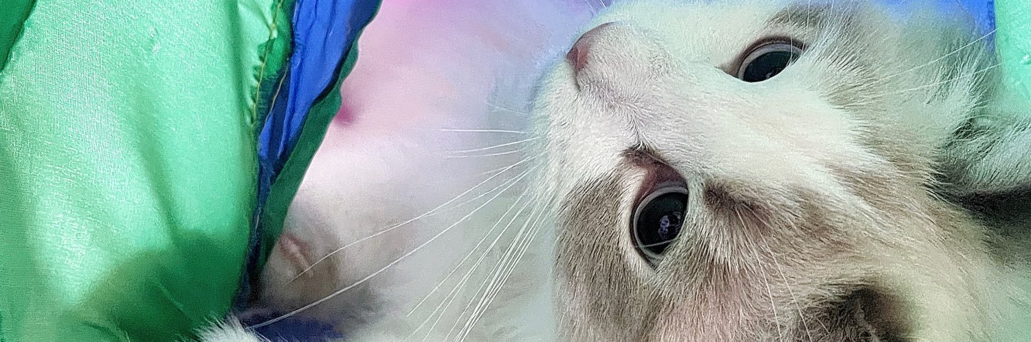 Traveler （🈲私聊）'s banner
