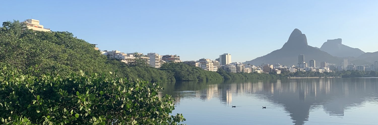 concurseira noveleira's banner