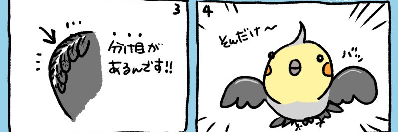 うめだゆかり@ことり雑貨こなふー's banner