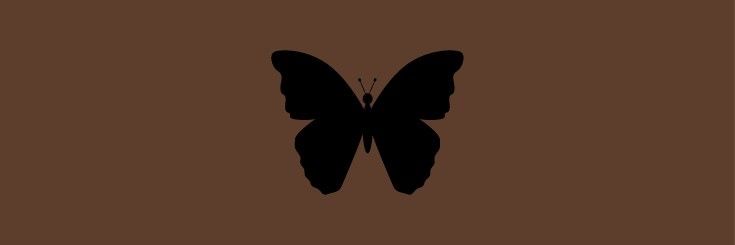 وضحى's banner