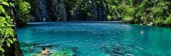 Sir Alistair Karaí Fitzpatrick's banner