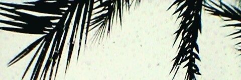 Broke men's banner