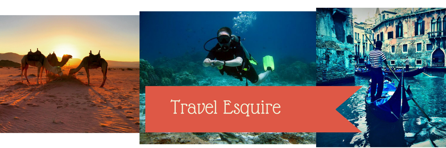 TRAVEL Esquire 🇺🇸🇮🇹🌍✈️'s banner
