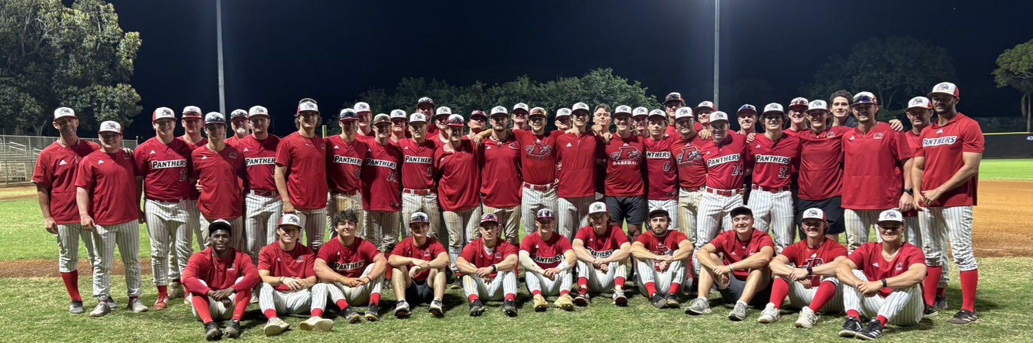 DRURY BASEBALL's banner