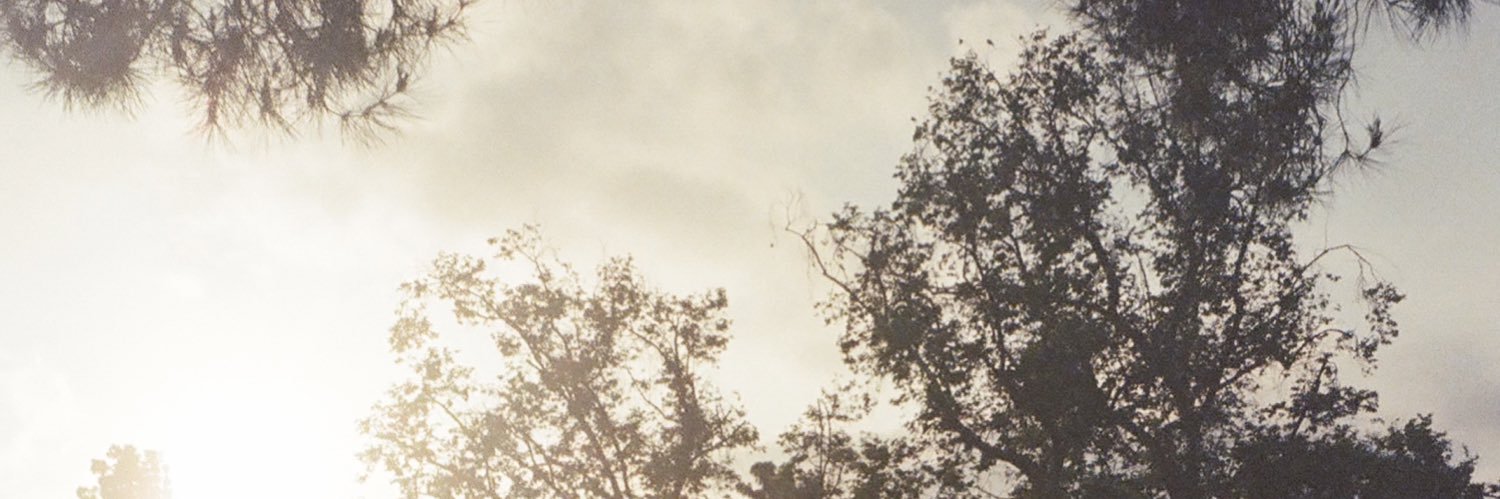 redveil's banner