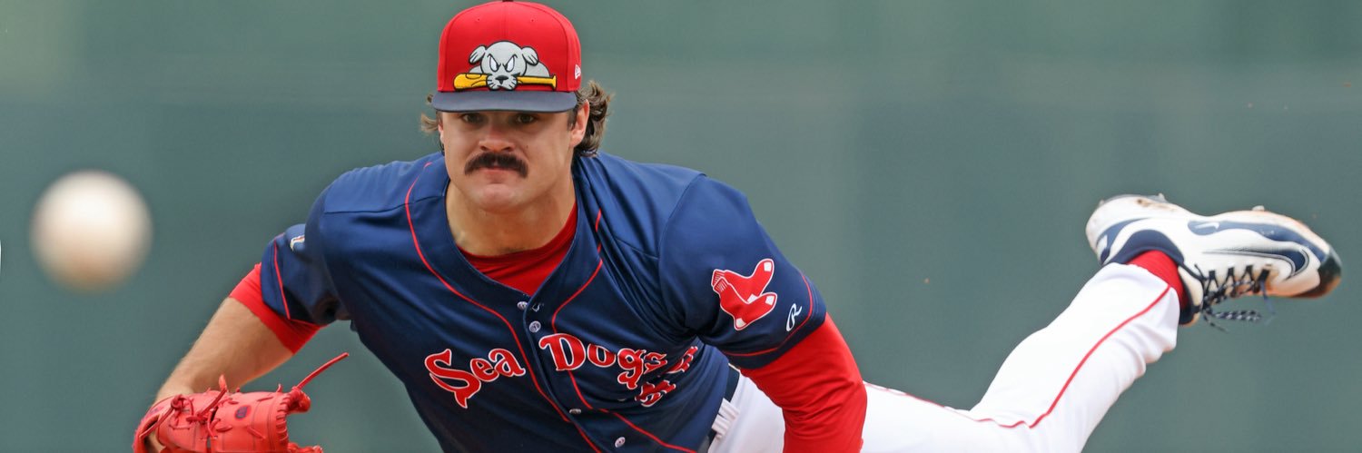 SoxProspects.com's banner
