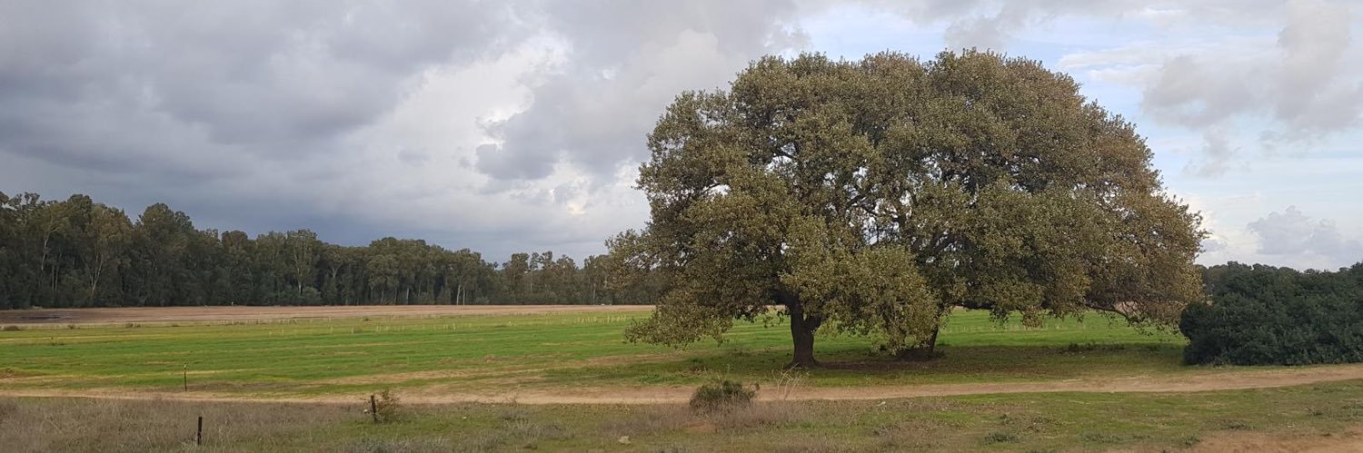 אביחי בוארון's banner