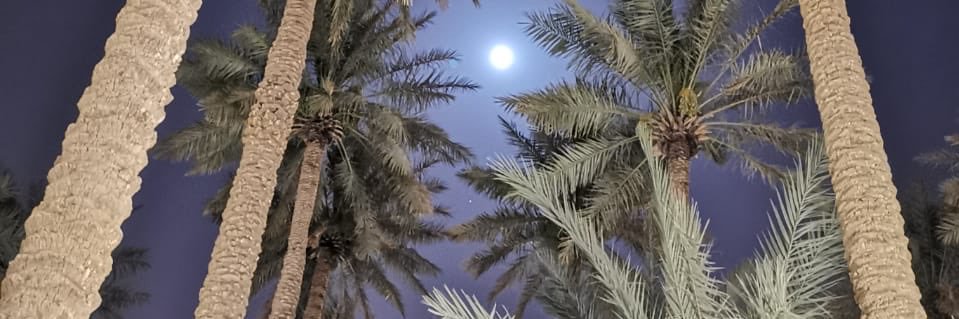 عبدالرحمن  الكريدا's banner