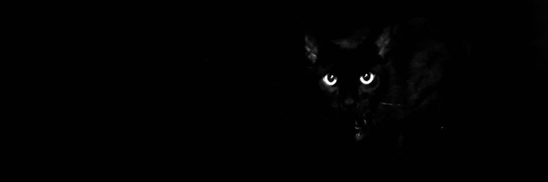 Mauricio Téllez's banner