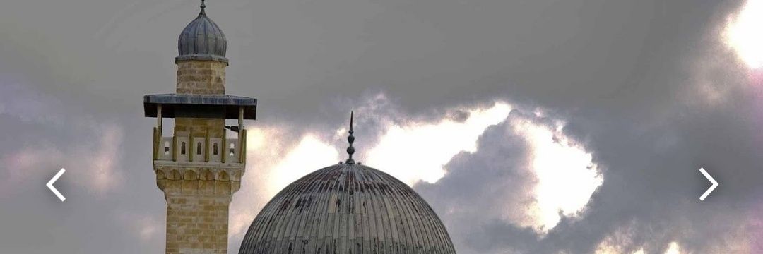 Abdurazak ildiz النعيمي🇹🇷🇵🇸's banner