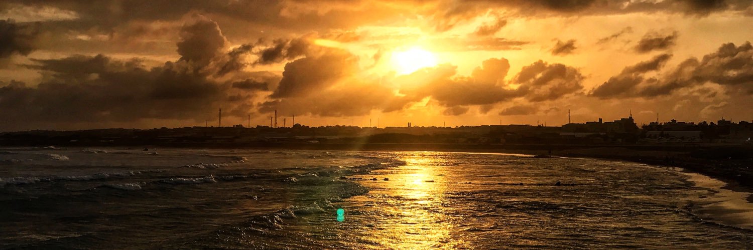 ɔıʌouɐɾuɯɐᗡ ʌɐlsıɯo⊥'s banner