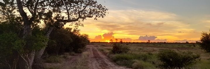 Rodolfo Kliewer 🌾🐂's banner