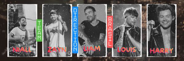 One Direction Brasil's banner
