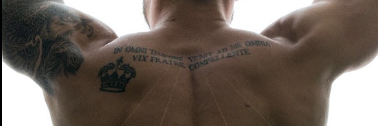 elvikingoshwartz's banner