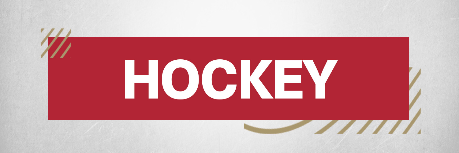 Denver Hockey's banner