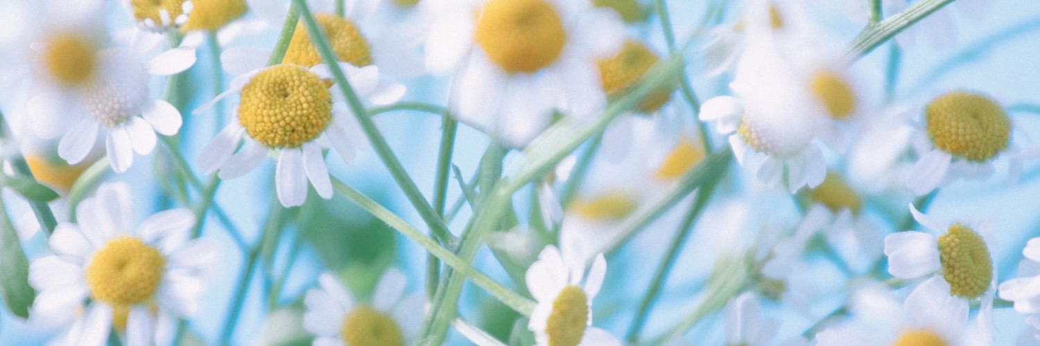 chico＠美容's banner