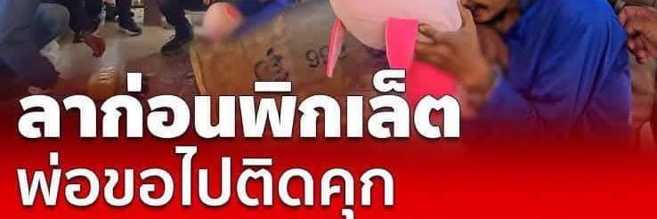 บาบิส一爱z's banner