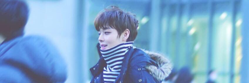 Oui's banner