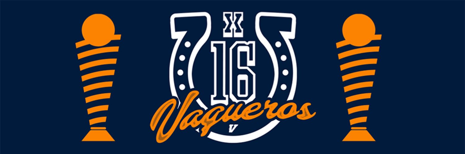 Vaqueros de Bayamón's banner