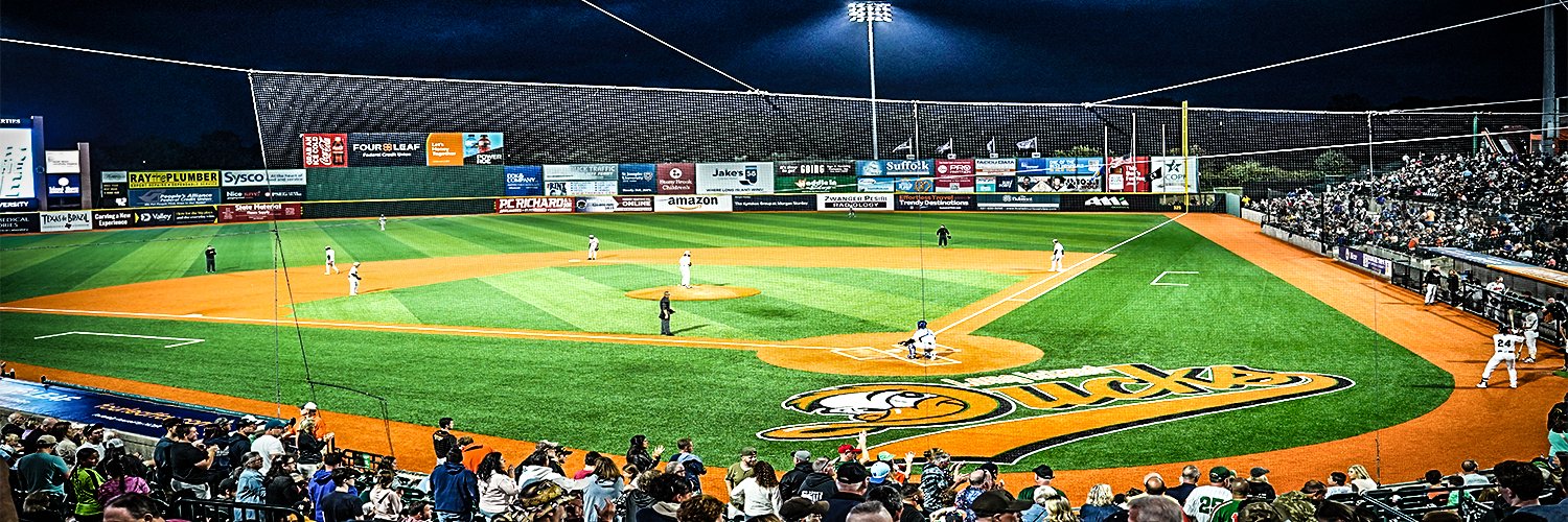 Long Island Ducks's banner