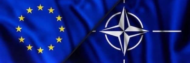 Žuti Moravac Južni 🌶️🌶️🇷🇸🇲🇪🇸🇮🇪🇺 🇬🇧🇮🇹's banner
