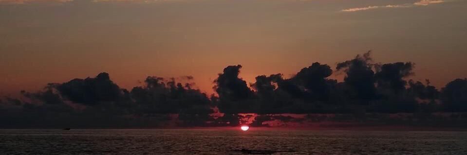 🐾🍁|𝗠𝗿's banner