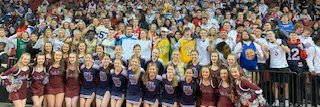 LNS Athletics's banner