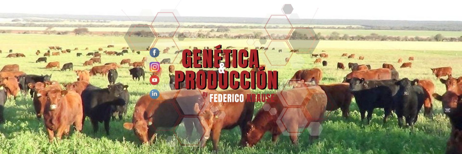 Fede Krause Veterinario's banner