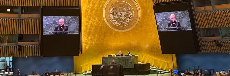 SwedenUN 🇸🇪's banner