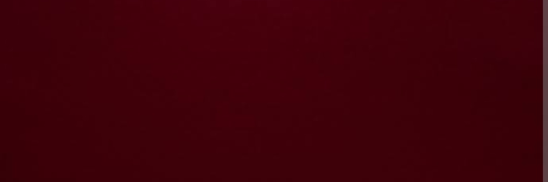 sibel45tolga47's banner