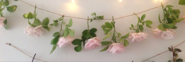 millie's banner