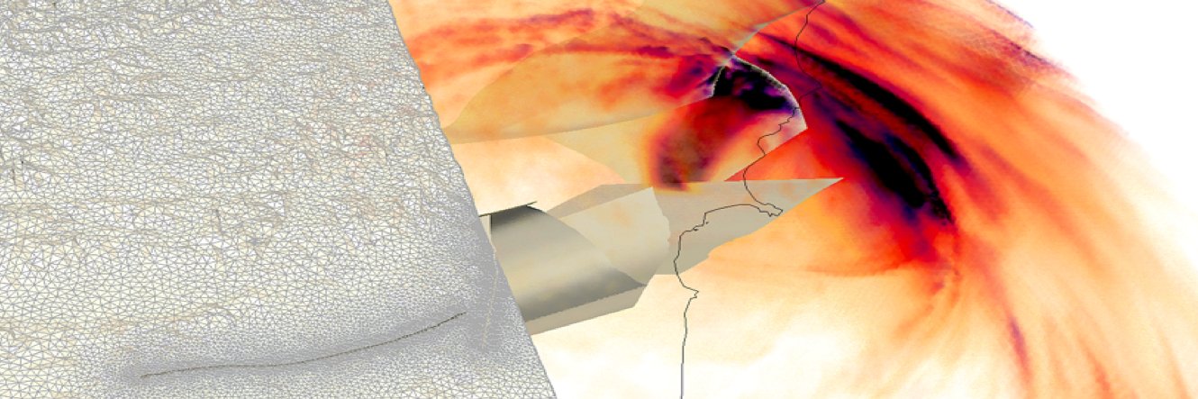 Dr. Alice-Agnes Gabriel's banner