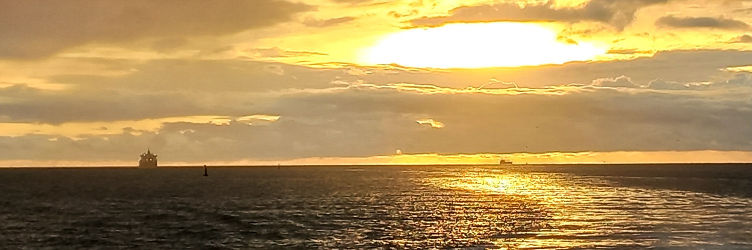 Sandrita Avella ⚓'s banner