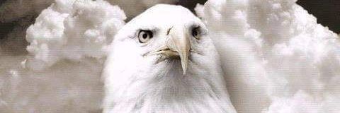 Eagle Fora's banner