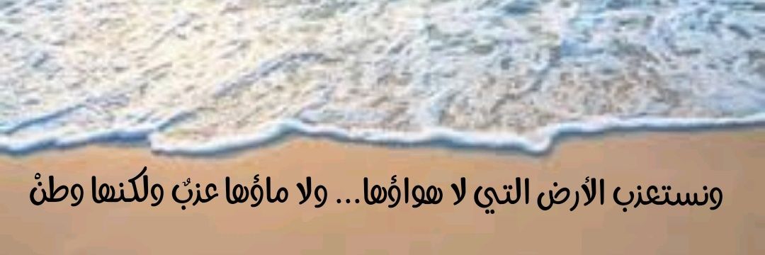 Sara elbadawi 🇵🇸🇸🇩's banner