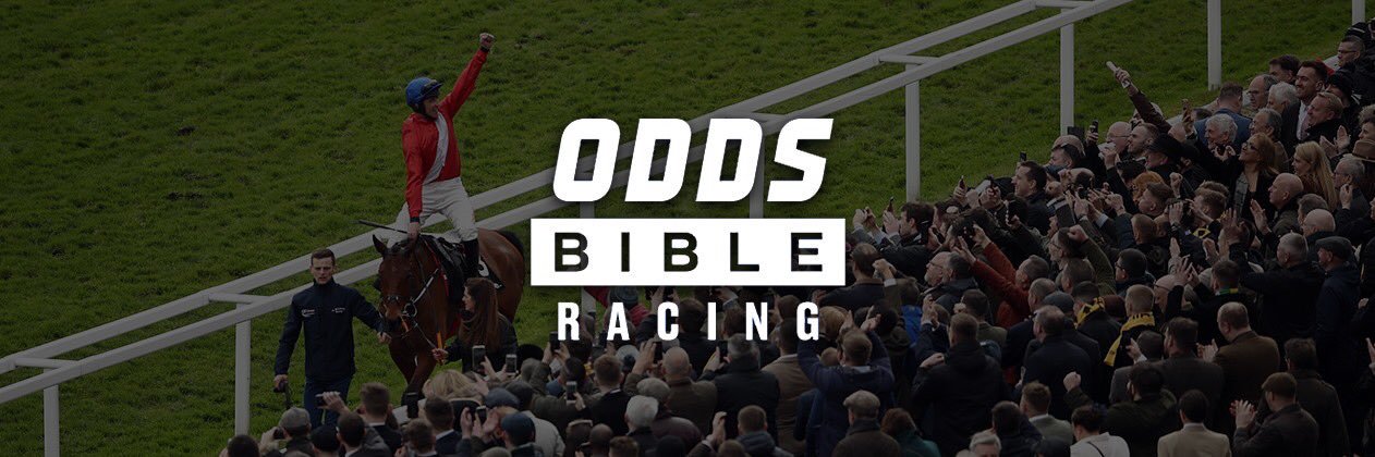 ODDSbible Racing's banner
