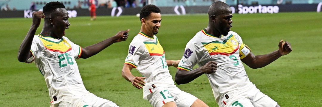 𝗦𝗮𝗻𝗲 𝗠𝗮𝗹𝗮𝗻𝗴 🇸🇳🇸🇳🇬🇲🇬🇲's banner
