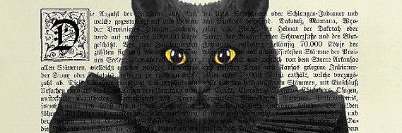 Leo 🪇's banner