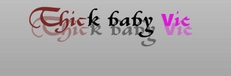 vie's banner