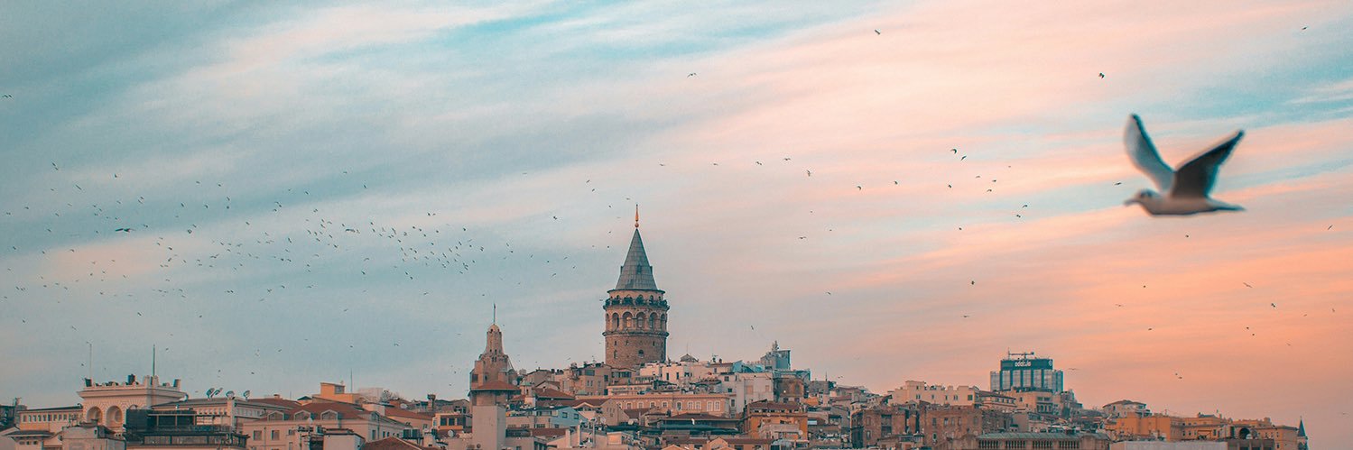 Doç. Dr. Buğra Gökce's banner