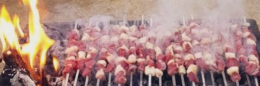شاخه نبات's banner