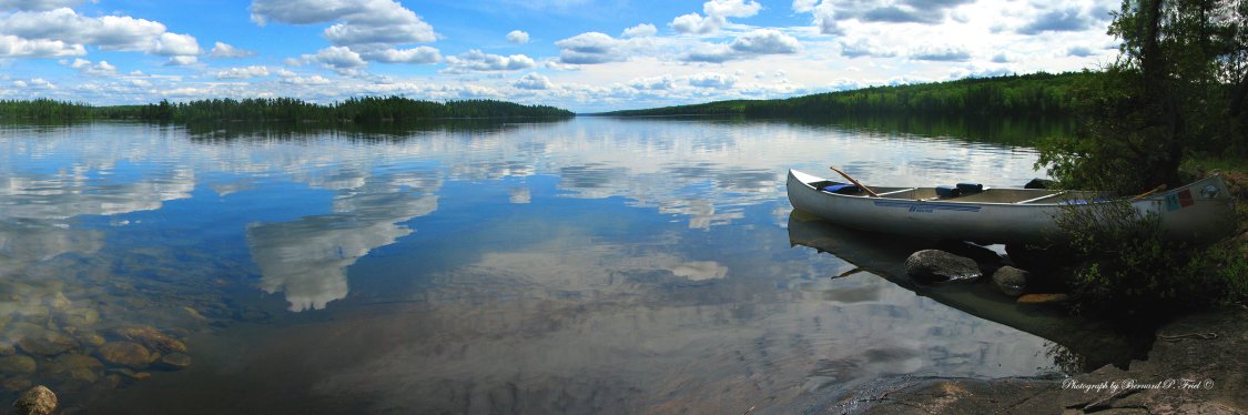 Friends of the BWCAW's banner