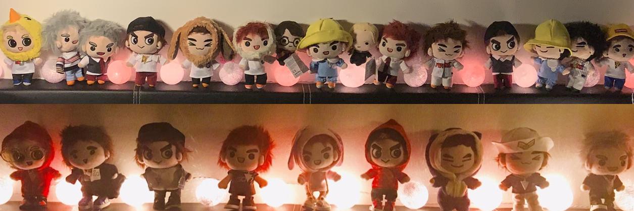 🐣💚 🐰🦊🐶🍑🌻🐍🐻 💚🐣's banner
