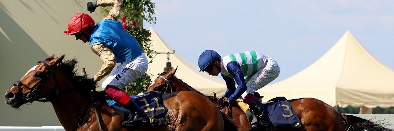 Frankie Dettori's banner