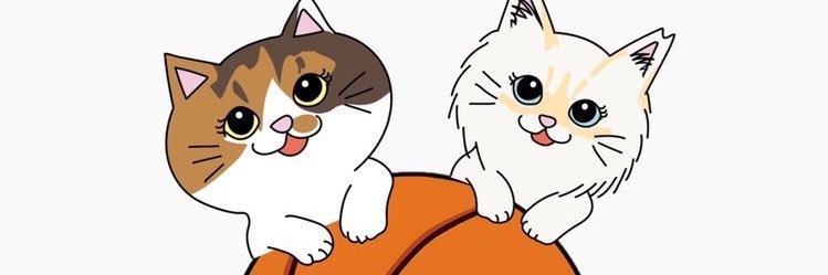 バスケバッシュKOH +B's banner