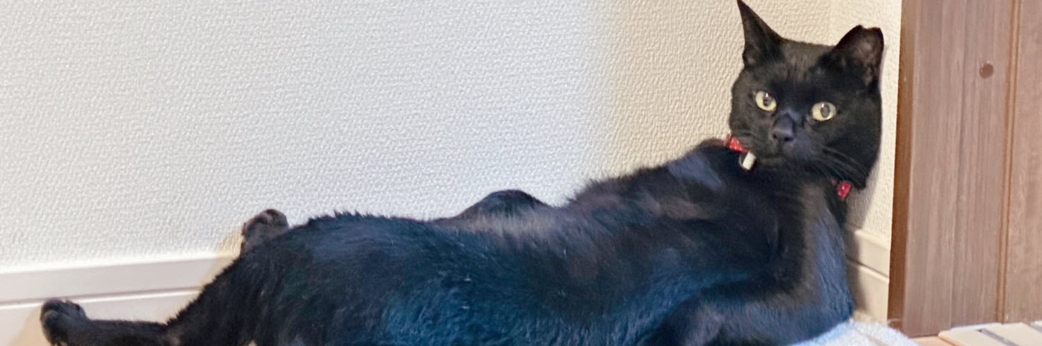 黒猫's banner