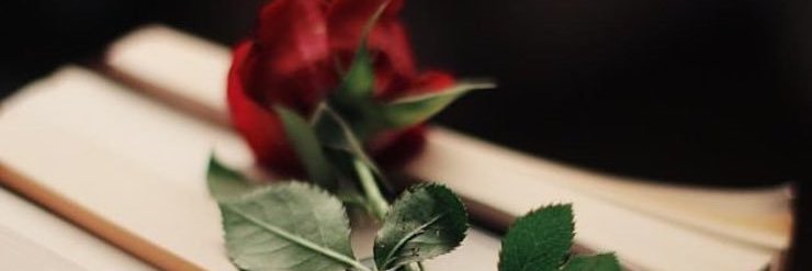 söz gülü's banner