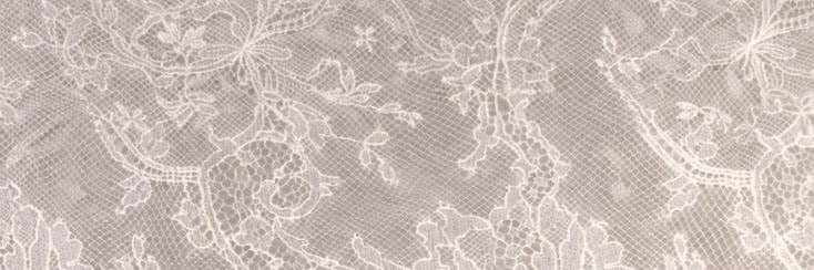 图's banner